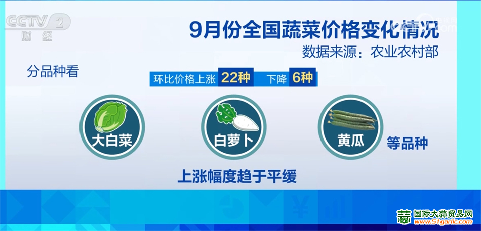 圖片10