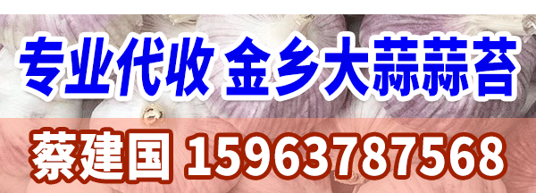 蔡建國-600-200-市場報道內容頁
